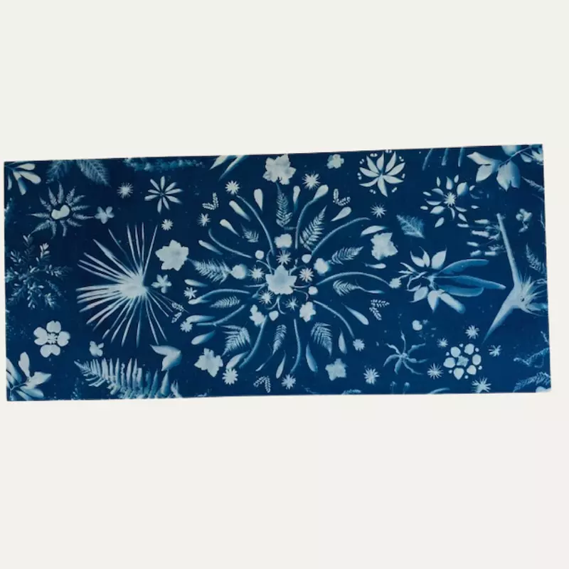 Item image.