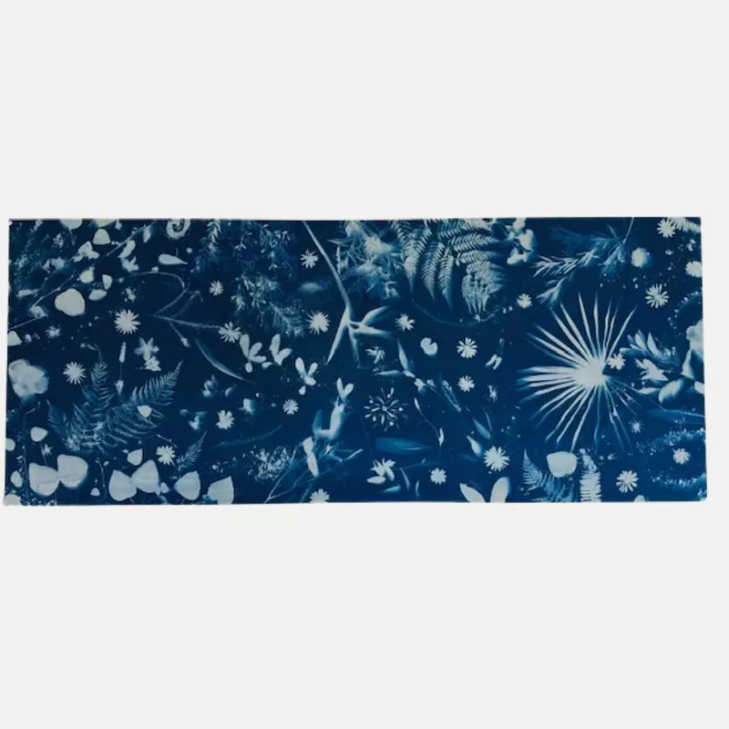 Item image.